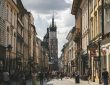 szukanie pracy
