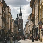 szukanie pracy