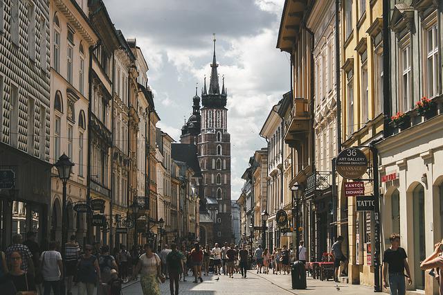szukanie pracy